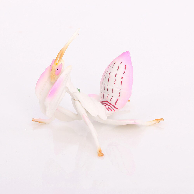 Modelo de brinquedo animal rea - Orchid Kids Education avaliação e preço